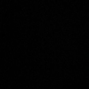 Meet your Posher, Dora